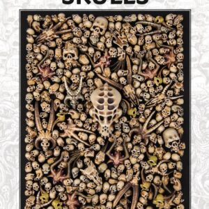 Warhammer Citadel Skulls